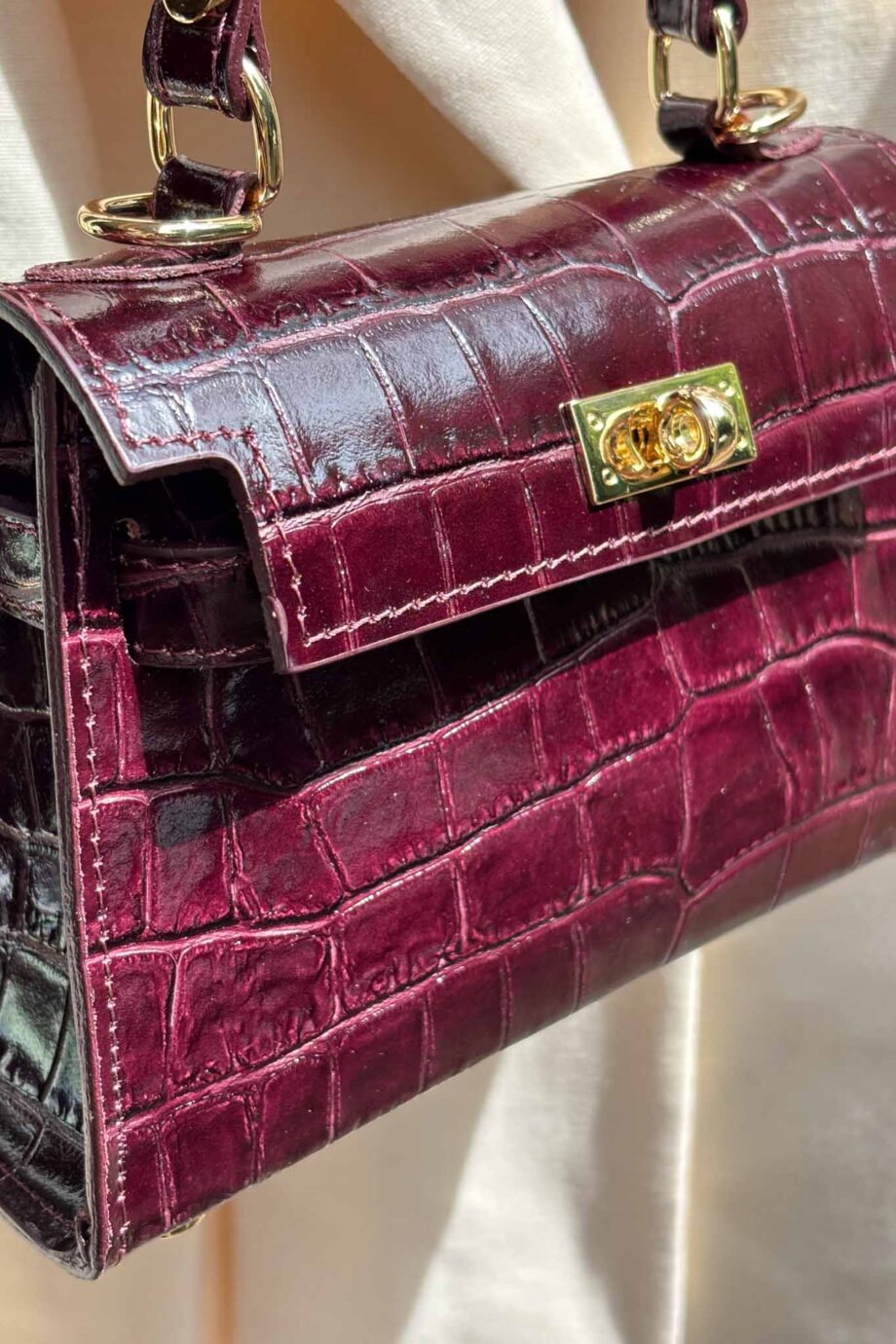 The Jane Parisian leather dream burgundy leather it bag