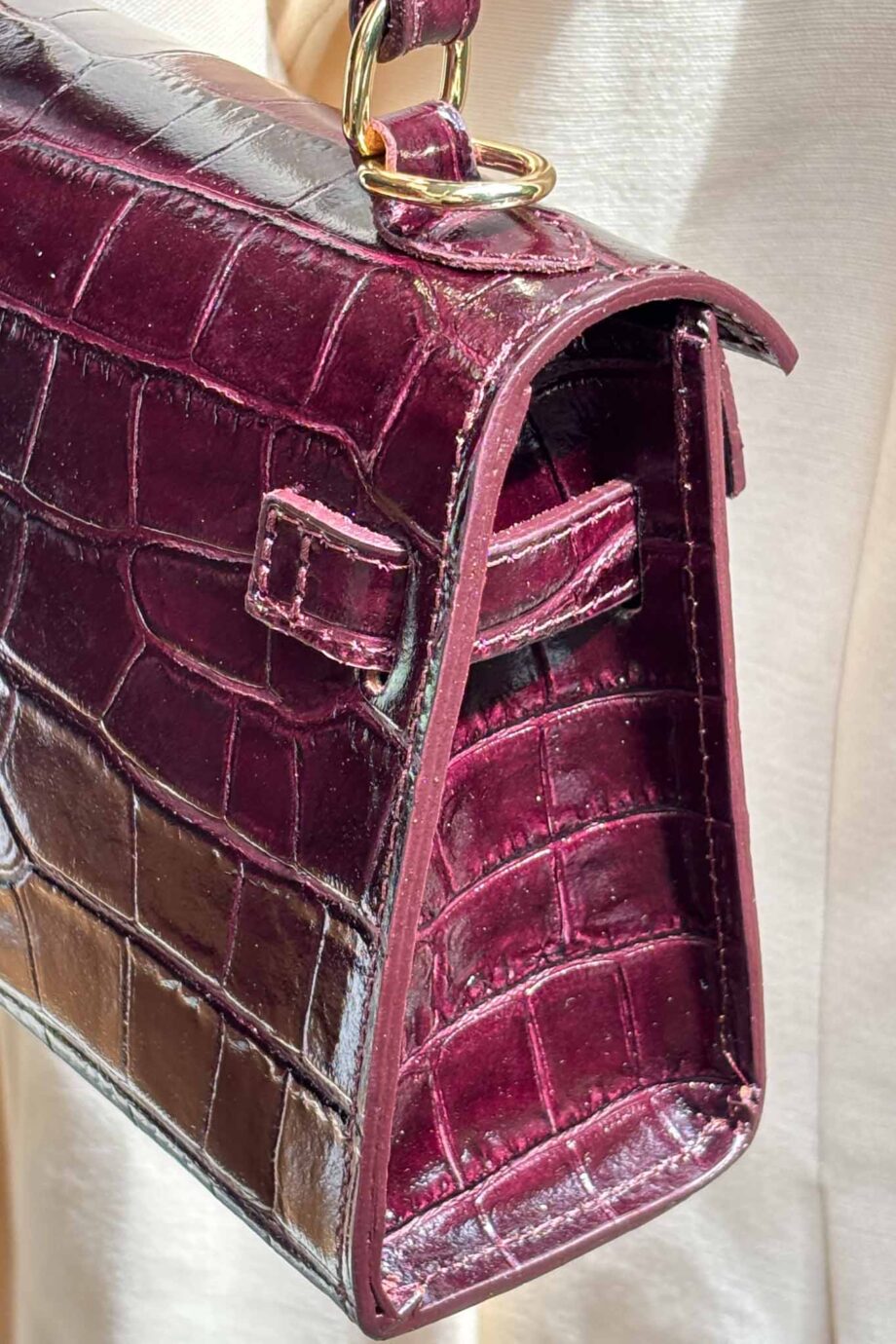 The Jane Parisian leather dream burgundy leather it bag